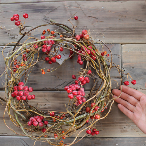 赤い実のリース№2 サンキライ 山帰来 ドライフラワーリース リース