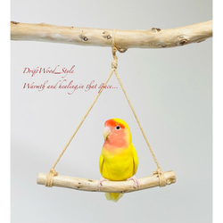 流木インテリア  シンプルな天然流木の小鳥の止まり木 吊り下げタイプ インコ 鳥 ブランコ 自然木 No.3 3枚目の画像
