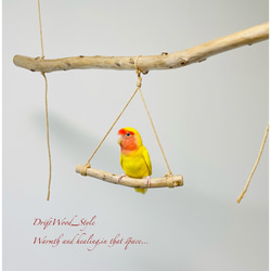 流木インテリア  シンプルな天然流木の小鳥の止まり木 吊り下げタイプ インコ 鳥 ブランコ 自然木 No.3 4枚目の画像