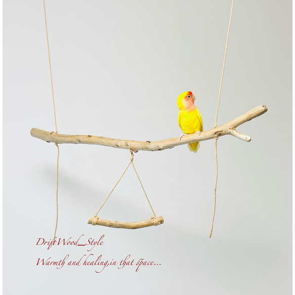 流木インテリア  シンプルな天然流木の小鳥の止まり木 吊り下げタイプ インコ 鳥 ブランコ 自然木 No.3 6枚目の画像