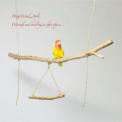 流木インテリア  シンプルな天然流木の小鳥の止まり木 吊り下げタイプ インコ 鳥 ブランコ 自然木 No.3 1枚目の画像