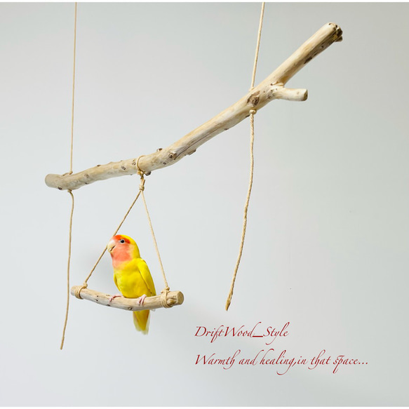 流木インテリア  シンプルな天然流木の小鳥の止まり木 吊り下げタイプ インコ 鳥 ブランコ 自然木 No.3 2枚目の画像