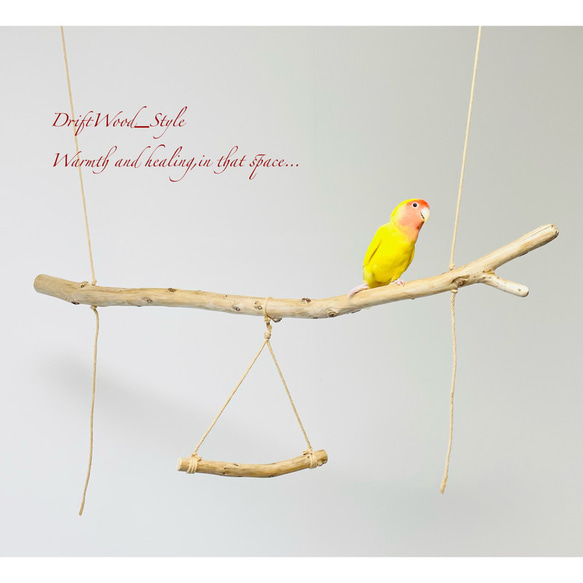 流木インテリア  シンプルな天然流木の小鳥の止まり木 吊り下げタイプ インコ 鳥 ブランコ 自然木 No.3 7枚目の画像