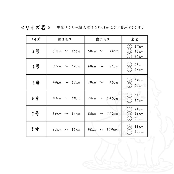  第11張的照片