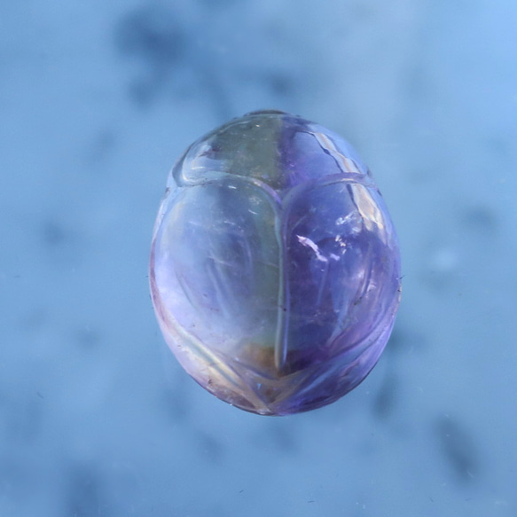 紫黃晶甲蟲 第4張的照片