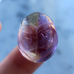 紫黃晶甲蟲 第5張的照片