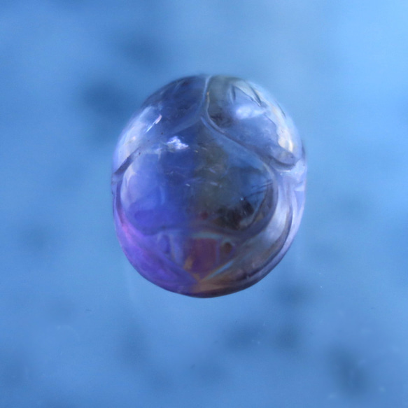 紫黃晶甲蟲 第2張的照片
