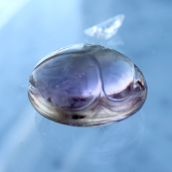 天然石材【紫黃晶】聖甲蟲雕刻/雕塑散裝b 20×15mm 第3張的照片