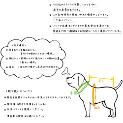  第15張的照片