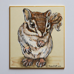 シマリス　りす　原画　絵画『シマリスとミモザ』 シマリス りす 原画 絵画『シマリスとミモザ』 お得】 シマリス