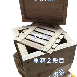 板厚３３mm 日本蜜蜂 巣箱 重箱 待ち箱 ニホンミツバチ 3枚目の画像
