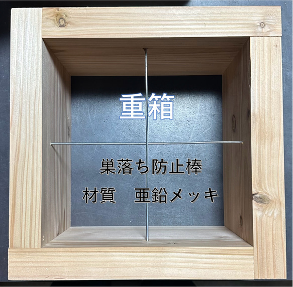 板厚３３mm 日本蜜蜂 巣箱 重箱 待ち箱 ニホンミツバチ 7枚目の画像