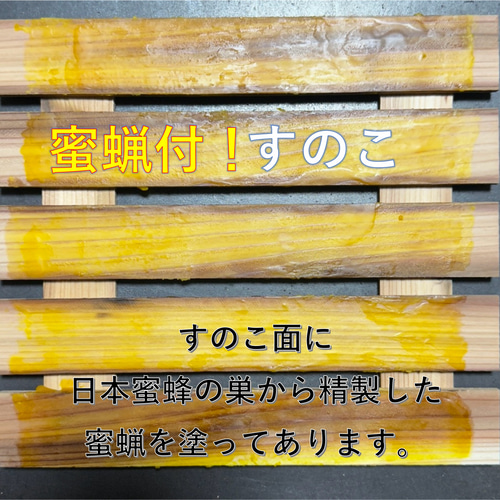 板厚33mm 日本蜜蜂 巣箱 重箱 待ち箱 ニホンミツバチ 木材・板