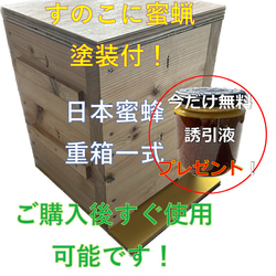 日本蜜蜂　巣箱　待ち箱　入居実績あり　2 個セット bbe2478328f76db659d6a2abf9e5cc