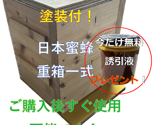 板厚33mm 日本蜜蜂 巣箱 重箱 待ち箱 ニホンミツバチ 木材・板 板厚33mm 日本蜜蜂 巣箱 重箱 待ち箱 ニホンミツバチ 木材・板