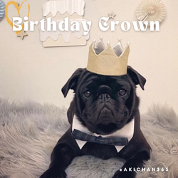 ミニ バースデークラウン s×wg パール ペット うさぎ 犬 猫 誕生日 1歳 王冠 クラウン あご紐 1枚目の画像