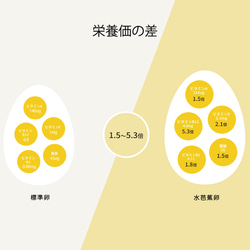 北海道 ～お米を食べて育つ平飼い卵～ 水芭蕉卵8個入＋割れ保障４玉【作品紹介文をご確認ください。】 15枚目の画像