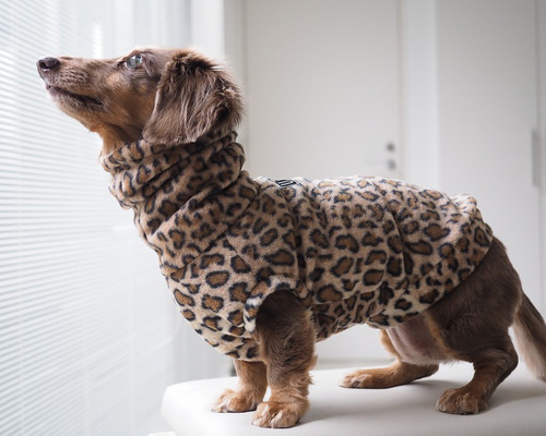 犬服 スタイリッシュなダックスちゃんのハイネックタンクトップ 豹柄