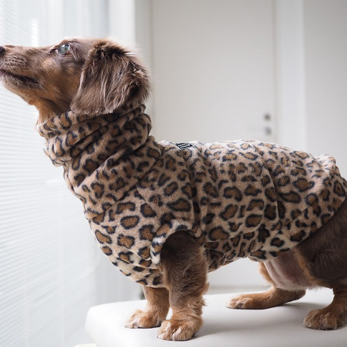 犬服 スタイリッシュなダックスちゃんのハイネックタンクトップ