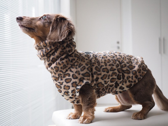 犬服 スタイリッシュなダックスちゃんのハイネックタンクトップ 豹柄