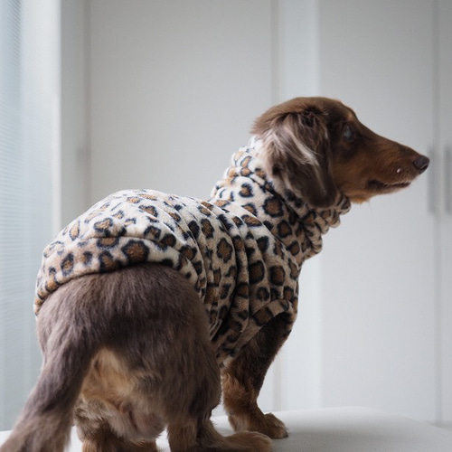 犬服 スタイリッシュなダックスちゃんのハイネックタンクトップ 豹柄