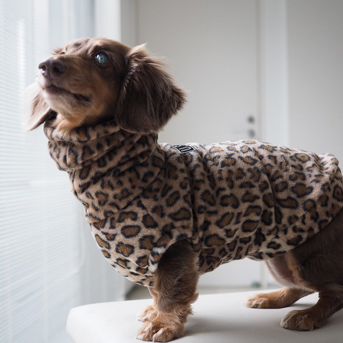 犬服 スタイリッシュなダックスちゃんのハイネックタンクトップ 豹柄
