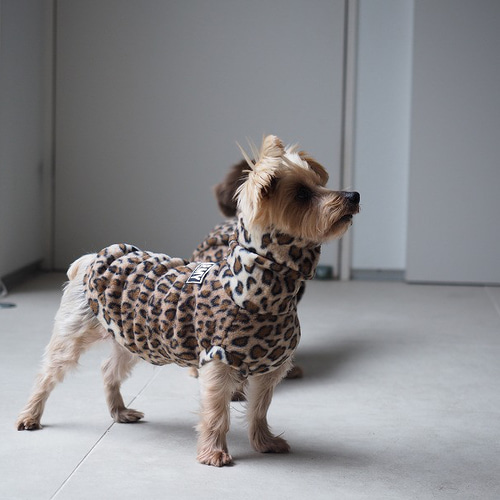 犬服  タンクトップ(Ｌ)  ꒡̈⃝Lily꒡̈⃝ハンドメイド 犬服 スタイリッシュなダックスちゃんのハイネックタンクトップ