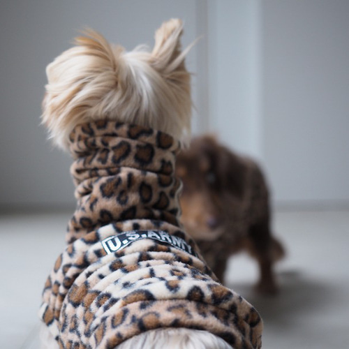 犬服 スタイリッシュなダックスちゃんのハイネックタンクトップ 豹柄