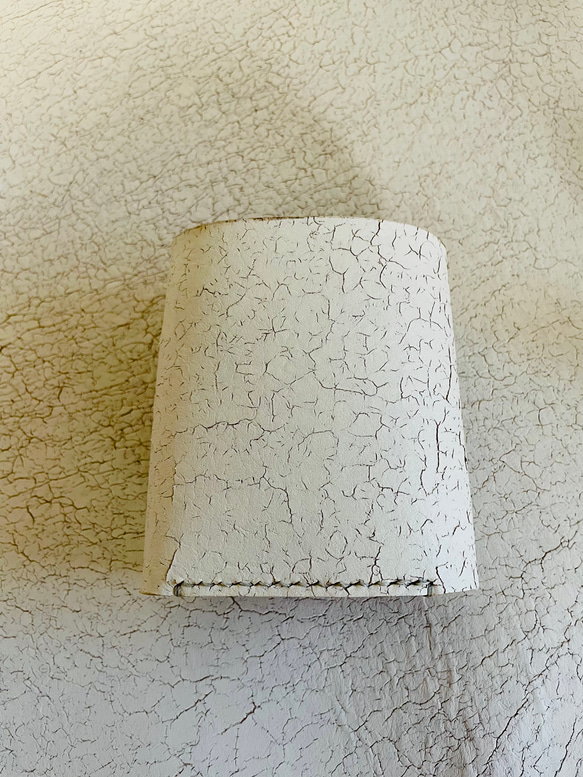  第3張的照片