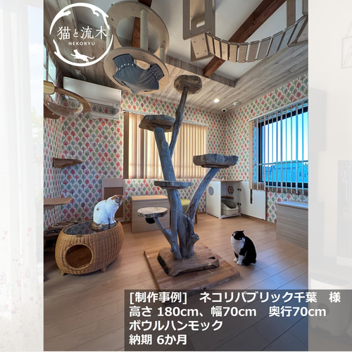 猫と流木ねこりゅう】完全オーダーメイド 流木キャットタワー中型