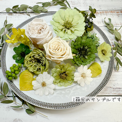 [送料無料]プリザの花箱✿Grass Green 花材セット 詰め合わせ プリザーブドフラワー ドライフラワー 2枚目の画像