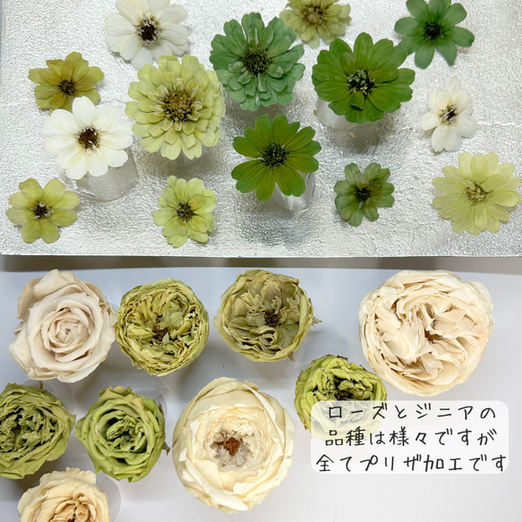 [送料無料]プリザの花箱✿Grass Green 花材セット 詰め合わせ プリザーブドフラワー ドライフラワー 3枚目の画像