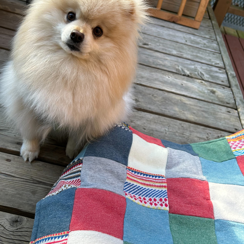 カフェマット〜小型犬、中型犬ちゃんサイズ〜犬用 マット クッション