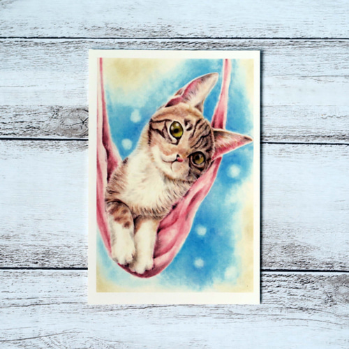 ポストカード猫パステル画3枚セット〈ガリガリ爪とぎちゃん・丸まって