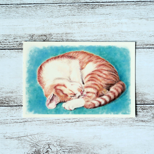 ポストカード猫パステル画3枚セット〈ガリガリ爪とぎちゃん・丸まって