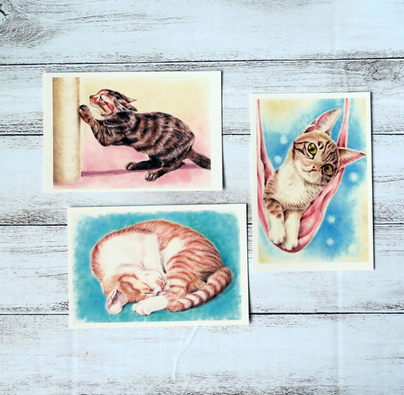 ポストカード猫パステル画3枚セット〈ガリガリ爪とぎちゃん・丸まって