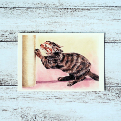 ポストカード猫パステル画3枚セット〈ガリガリ爪とぎちゃん・丸まって