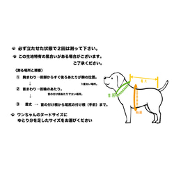 中型犬ちゃん用スウェット〜BabyGカラー3号サイズ〜　中型犬服 6枚目の画像