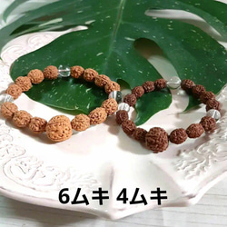 ルドラクシャ 8ムキ 三眼天珠 水晶 ブレスレット 14,5cm