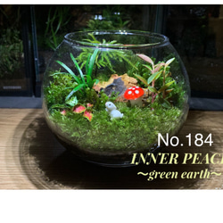 57 イモリウム カエルリウム 苔アート 苔テラリウム テラリウム