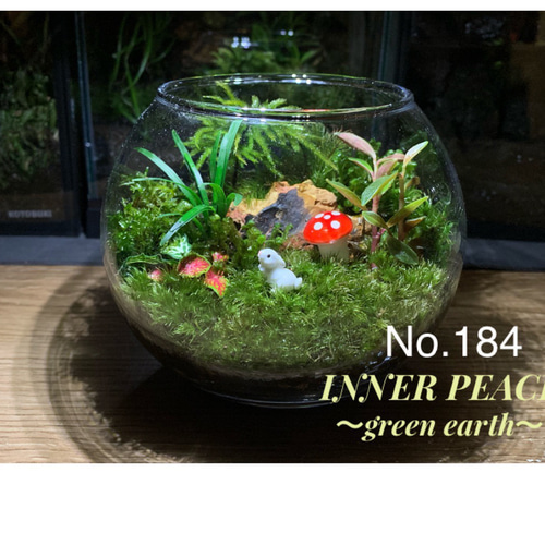 ウサギさんいっぱい❤️フィギュア❤️苔テラリウム