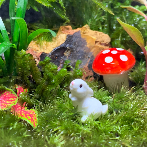 ウサギさんいっぱい❤️フィギュア❤️苔テラリウム ウサギさんいっぱい❤️フィギュア❤️苔テラリウム