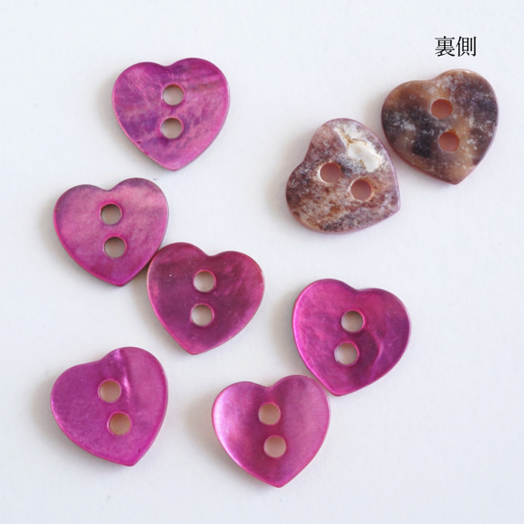  第2張的照片