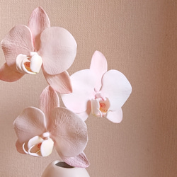 専用　クレイフラワー　胡蝶蘭とラベンダー 胡蝶蘭】珍しい 色付き胡蝶蘭 ラベンダー 3本立 33～36輪以上