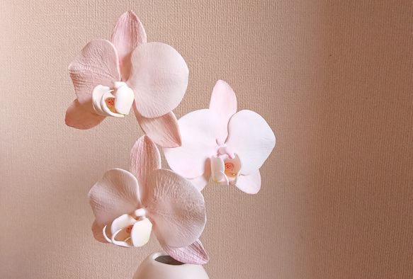 納得できる割引 アートフラワー 胡蝶蘭♪クレイフラワー Clay 通販 Kanon Art その他