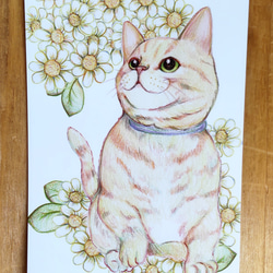 ゆーみんmoonです♪ 色鉛筆画 2Ｌ判 猫♡ ４枚 47f1ef65b213053225f27009a09708