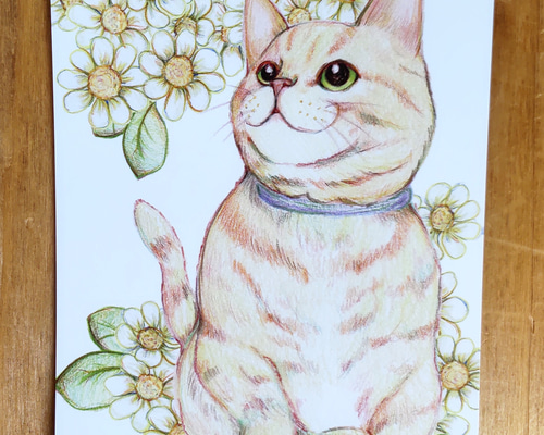 色鉛筆画 A4.仔猫2 色鉛筆画 A4.仔猫2