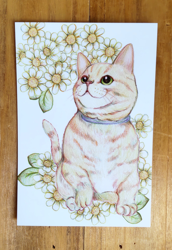 マンチカン 猫の絵 ドローイング イラスト のっける