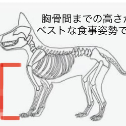 フードボウル（中〜小型犬、猫） 4枚目の画像
