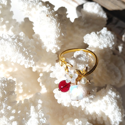 ❁Blood red Dainty ring 14kgf❁ 拘りのモザンビーク産ガーネット＆レインボームーンストーン 4枚目の画像